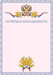 Почетная благодарность №6