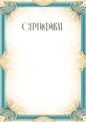 Сертификат в хорошем качестве шаблон №242