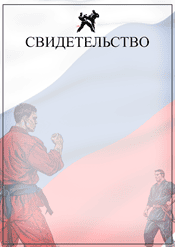 Свидетельство единоборства шаблон №223